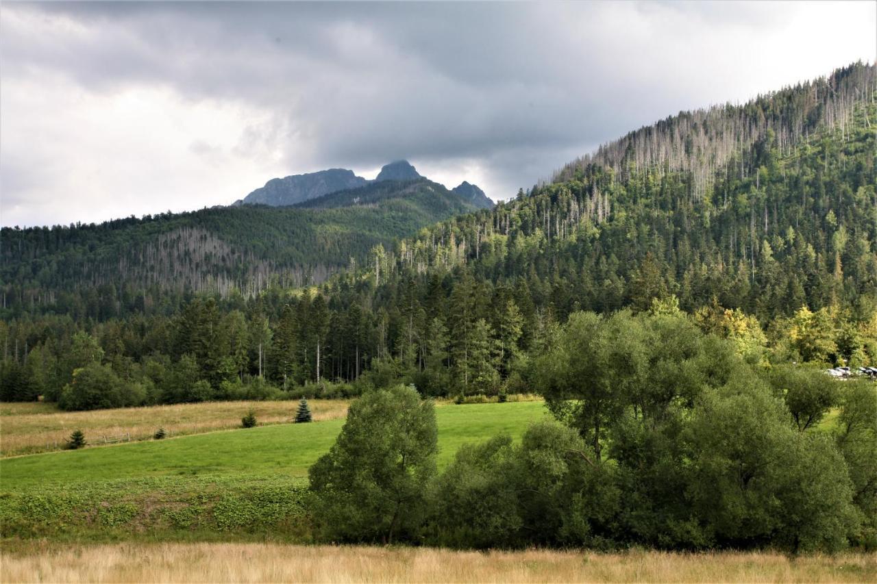 Appartamento Tatra Rest Kościelisko Esterno foto